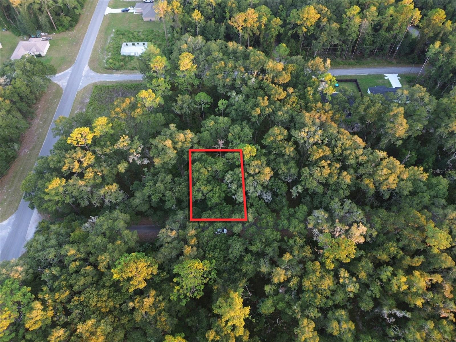 This approximately 0.23-acre vacant lot offers about 80' of frontage by 125' of depth on Sequoia Loop Track in Silver Springs Shores Unit 44, Ocklawaha. The lot contains approximately 10,019 sq. ft. and is zoned R-1 for single-family residential construction. NO HOA. The property is located in Flood Zone X, indicating minimal flood risk. Duke Energy is the area electric provider; however, there are no power lines directly along the road frontage, so the buyer should verify the cost and feasibility of extending electric service to the property. A private well and septic system will be required. The property has paved road frontage on Sequoia Loop Track and is located near Lake Pendarvis, with convenient access to Lake Weir, Carney Island Recreation & Conservation Area with public boat ramps, and the Ocklawaha River for boating, fishing, kayaking, swimming, and other outdoor recreation. Parcel ID: 9044-1574-06. Lot Size: Approximately 0.23 acres / 10,019 sq. ft. For locating the property, you may use the nearby address 31 Sequoia Loop Place, Ocklawaha, FL 32179, located on the road behind the subject property, or enter the following coordinates into Google Maps, Apple Maps, or Waze: 29.07306447, -81.87961394.