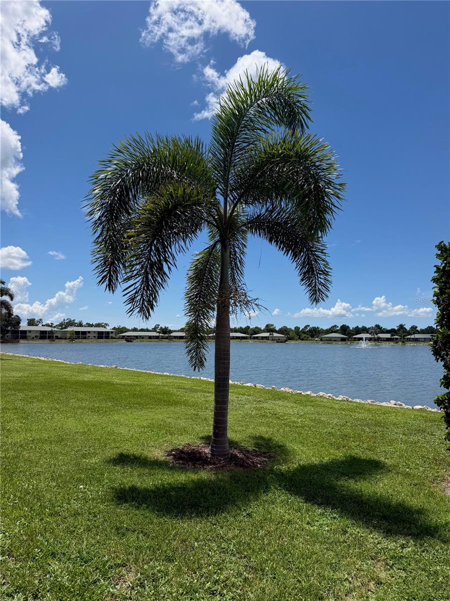 LAKESIDE CHARLOTTE COUNTY PH 01 - Residential
