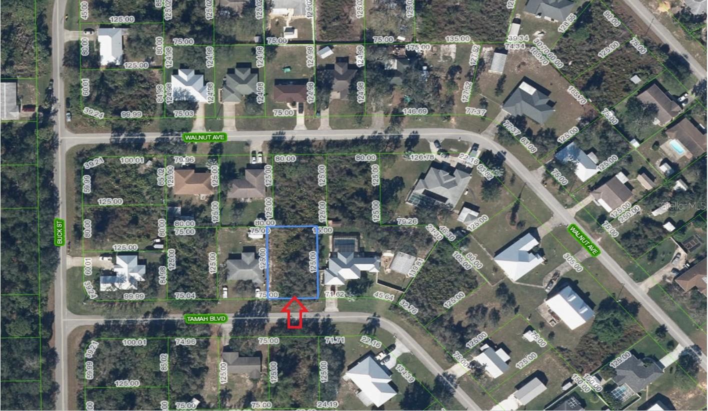 Growing neighborhood with beautiful nature and lakes in near proximity. This lot is not too far down the street from Lake Clay. This area has access You can enjoy hiking on available trails and boating on lakes nearby. NO HOA fees to worry about. Close to restaurants, gas station, grocery stores, and much more. This lot is located in the midpoint of Lake Placid and Sebring.