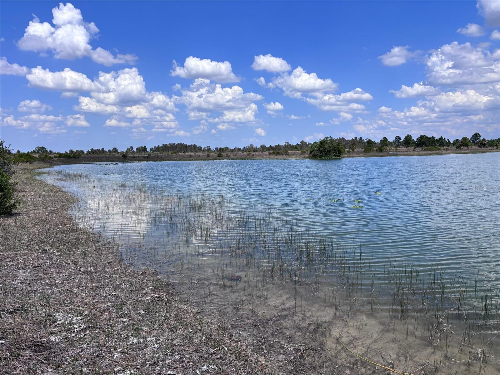 To step onto The Lake on Big Prairie is to walk through the very soul of Florida’s history. This isn't just a 30-acre estate; it is a timeless landscape where the echoes of the first Floridians meet the legacy of Spanish Conquistadors. From the ancient hunting grounds of the Calusa and Tequesta to the 19th-century "open prairie" where legendary cattle barons like Bones Mizell drove their herds across a fenceless horizon, this property is a living canvas. It is the same rugged, romantic wilderness that inspired Frederic Remington to immortalize the Florida “Cracker Cowboy” in his world-renowned paintings. Experience everything this property has to offer by scheduling a viewing. Seller financing is available for qualified buyers.
Spanning approximately 1,350 by 968 feet, the property is defined by its magnificent water features. A shimmering 7.5-acre central lake of 27 feet in depth is complemented by three smaller ponds, creating a sanctuary for local wildlife. With over 1,100 feet of lake frontage and an elevation of 60 feet, the terrain offers a high, dry, and picturesque foundation for your vision. Sowed with Argentine Bahia, the land is perfectly suited for ranging cattle, equestrian pursuits, or simply preserving the natural beauty of the Florida interior.
The true value of this acreage lies in its exceptionally liberal Agriculture (AG) zoning within Charlotte County. This designation is a rare find, offering a level of freedom seldom seen in modern real estate.  Build up to three distinct homesites or modular homes—ideal for a family compound or a legacy estate.  Construct pole barns, workshops, or agricultural structures without the standard permitting hurdles, thanks to the AG status.  Whether you envision a horse stable, a fish hatchery (lake stocked with hybrid bluegill, talapia and bass), a boutique muscadine vineyard, or a private nature preserve, the Charlotte Co. Municode Sec. 3-9-30, Agriculture guidelines provide for a vast array of uses including silviculture and viticulture.
Located on SR 74, this parcel serves as a bridge between the tranquil interior and the vibrant Gulf Coast. While you are just a scenic drive from the boating world of Charlotte Harbor and the Gulf Islands, the fast routes of SR 29 and US 27 put the Atlantic coast—West Palm Beach, Ft. Lauderdale, and Miami—within easy reach. You will find yourself surrounded by the prestige of Florida’s great agricultural dynasties, including the Lykes, Alico, and Evans families, and buffered by state-protected preserves that ensure your privacy remains permanent.
As the sun sets over The Lake on Big Prairie, the sky transforms into a masterpiece of towering clouds and vivid colors that no city light can dim. Here, the nights are truly dark, revealing a universe of stars undisturbed by the bustle of SW Florida. This is more than a land purchase; it is an opportunity to own a middle-sized parcel in an area where such gems are rapidly disappearing.
Escape the noise and reclaim your peace on the prairie. Whether for investment, agriculture, or a private retreat, The Lake on Big Prairie is Florida as it was meant to be.