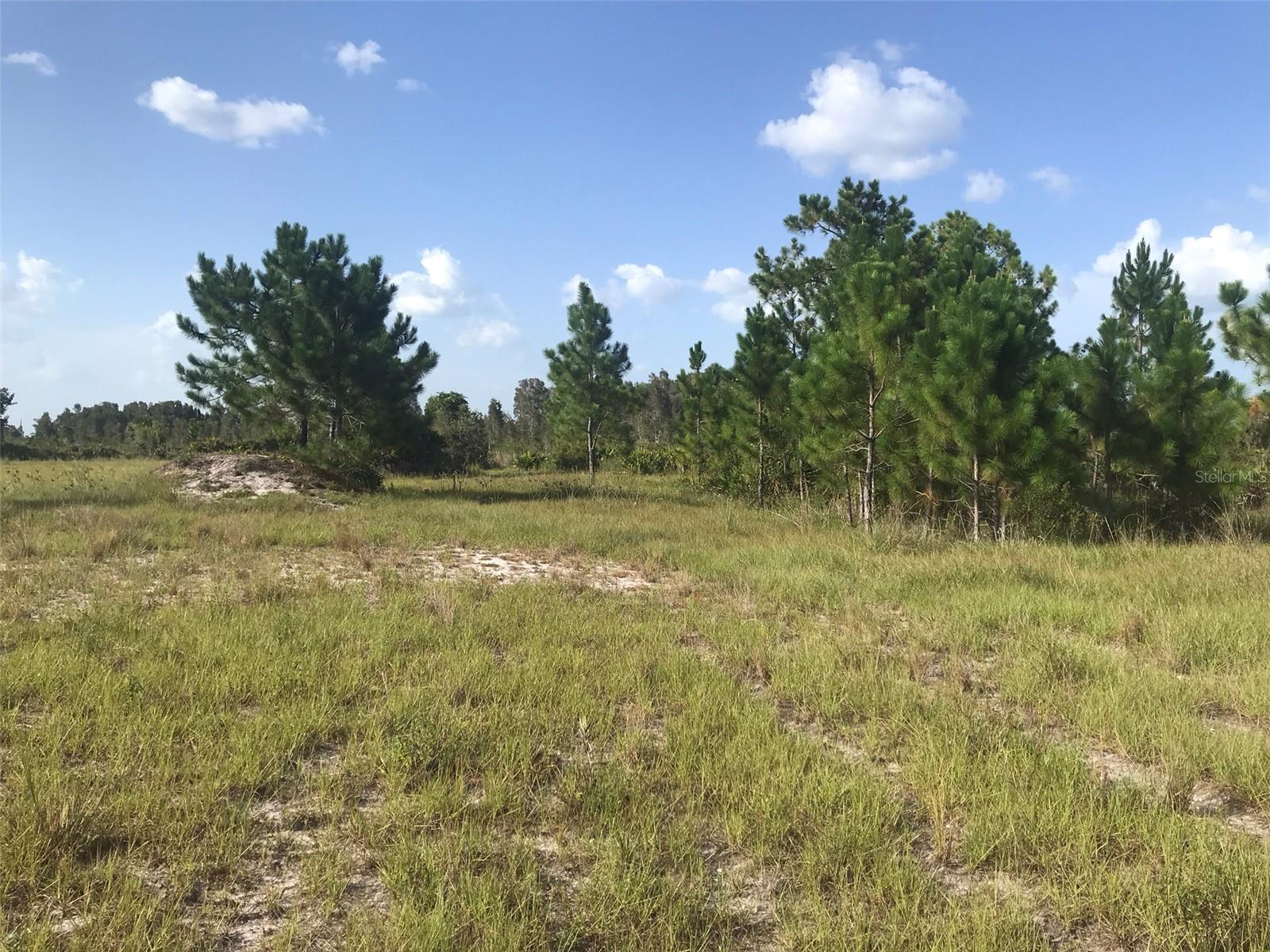 ACREAGE - Land