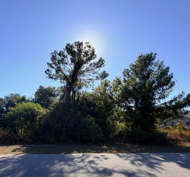 This Placid Lakes lot offers an excellent spot for your future home! You’ll be just blocks from the Lake June boat ramp and park, and only a short drive from downtown Lake Placid with its quaint shops, dining, and farmers market.