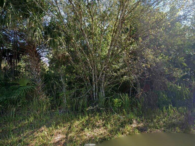 LEHIGH ACRES - Land