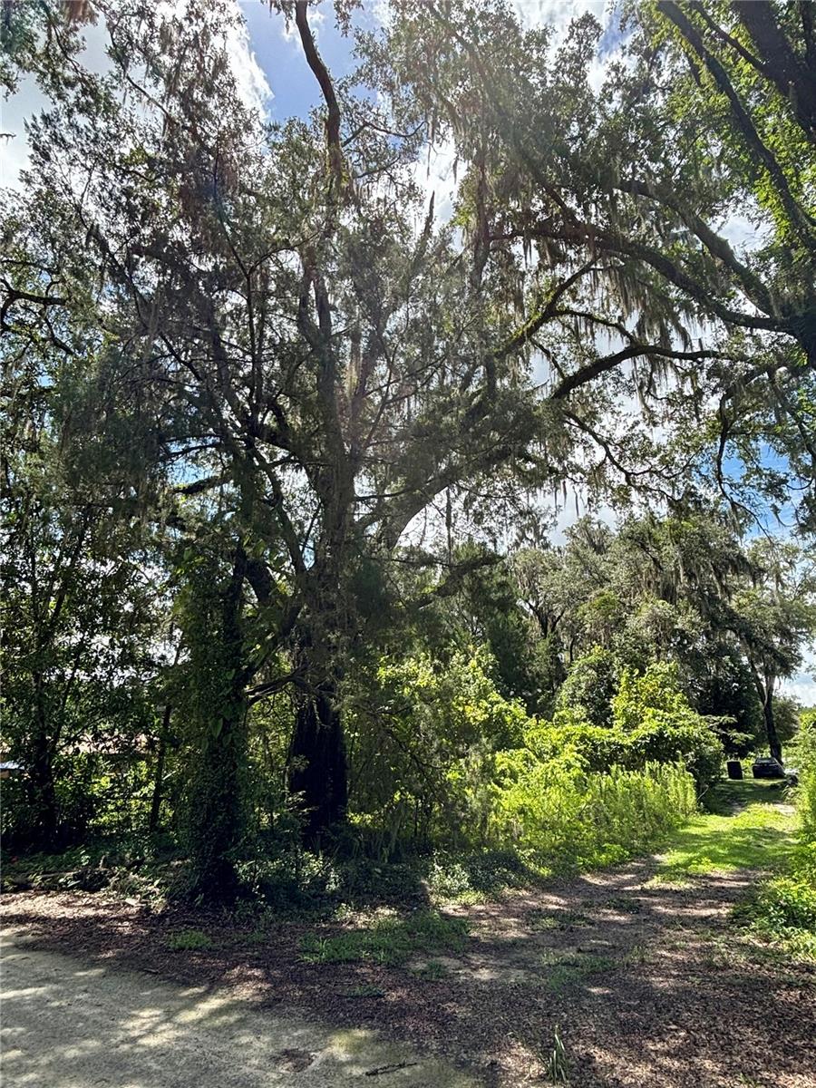 TOMPKINS & GEORGES AD DUNNELLON - Land