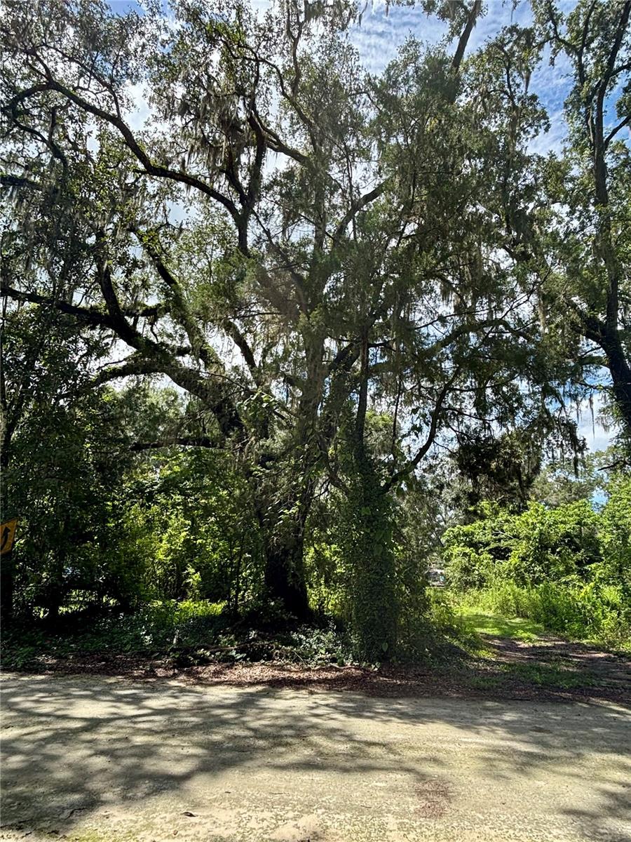Here is your opportunity to own an affordable vacant lot in the growing city of Dunnellon, Florida. Zoned R-4, this property allows for manufactured or mobile home use, offering flexibility for a future residence or investment opportunity. Whether you are looking for an affordable housing option or land with investment potential, this property is worth exploring. Take advantage of the opportunity to own land in an area that continues to grow and develop.  Dunnellon is a charming, historical town known for its natural beauty and small town hospitality.  It is also home to the Rainbow Spring State Park where you can enjoy tubing, swimming, kayaking and boating in its 1st magnitude spring fed water.  Ocala and Gainesville are within an hours drive providing access to larger city amenities while preserving a slower pace of life.