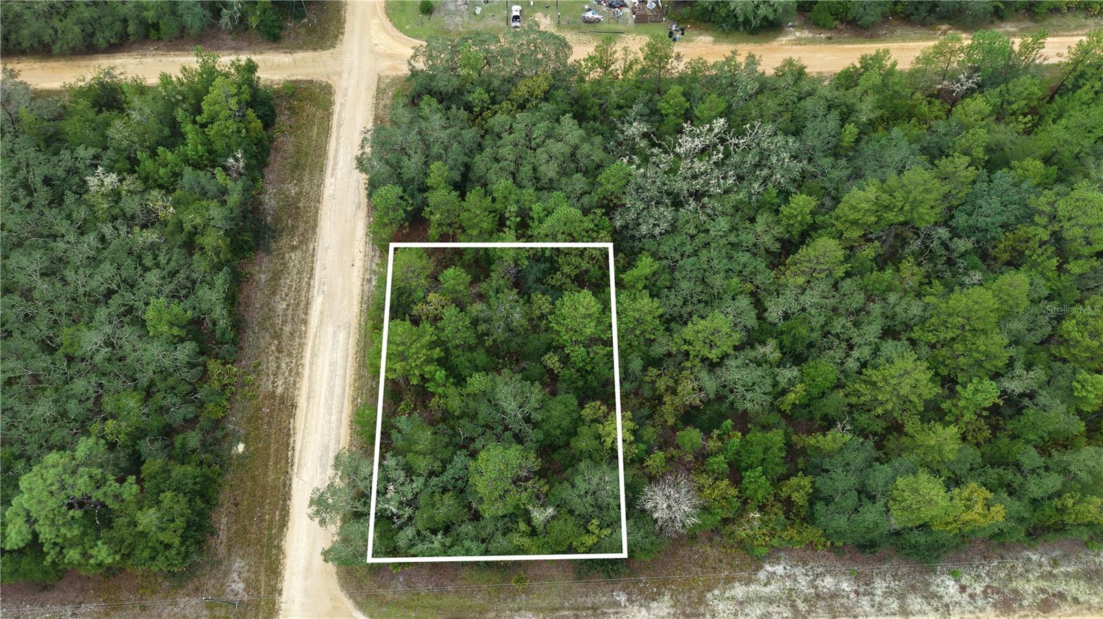 Beautiful 0.22-acre residential land opportunity on Selma Ave in Interlachen, Putnam County, offering approximately 9,583 square feet in an established residential area surrounded by natural scenery. The property benefits from a location with convenient access to local parks, nearby waterways, and the amenities of the surrounding community, making it an appealing option for buyers seeking a future homesite or a long-term land investment in North Florida.

With its residential setting and proximity to outdoor recreation, this parcel offers an opportunity for buyers looking to plan and develop a property according to their needs, subject to applicable zoning regulations, site conditions, and development requirements. The lot is not cleared, allowing prospective buyers to assess the existing vegetation and plan any site preparation based on their intended use.

The property is zoned 00/Vacant Residential. Buyers should independently verify permitted uses, building requirements, setbacks, minimum lot dimensions, utility availability, legal access, and applicable development standards with Putnam County before purchasing.

The property is located in Flood Zone X. Buyers should independently verify the current flood zone designation and any applicable building or insurance requirements.

Parcel ID: 240924407503700190. Buyers should confirm parcel boundaries, access, utilities, zoning, and all property details with the appropriate local authorities before purchase.