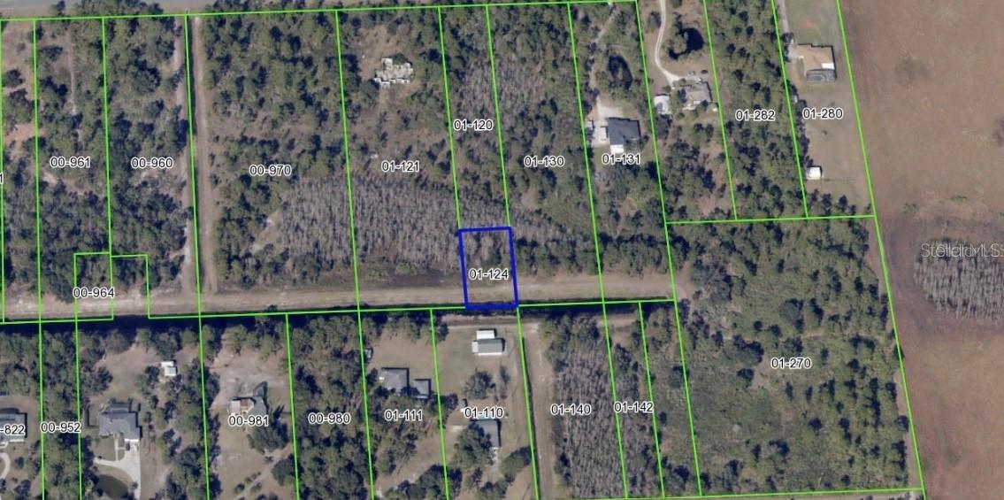 CASH ONLY! This is your time to purchase an affordable piece of land in the growing community of Wedgefield. Located just minutes from Avalon, Orlando Speedway, Lake Nona, Disney, Universal and many other attractions. Possible wetlands - also, if you see on the pictures, the future owner would have to negotiate an easement from adjacent properties, in order to have access to the main road.