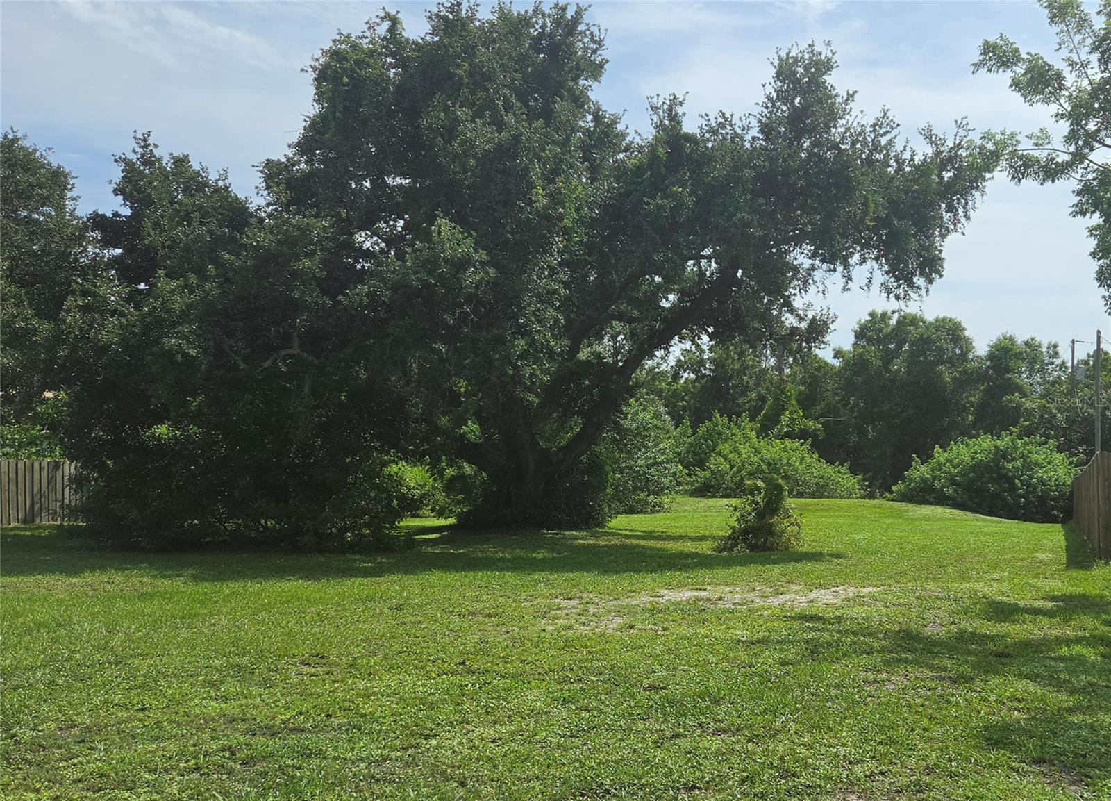 VENICE GROVES REP - Land