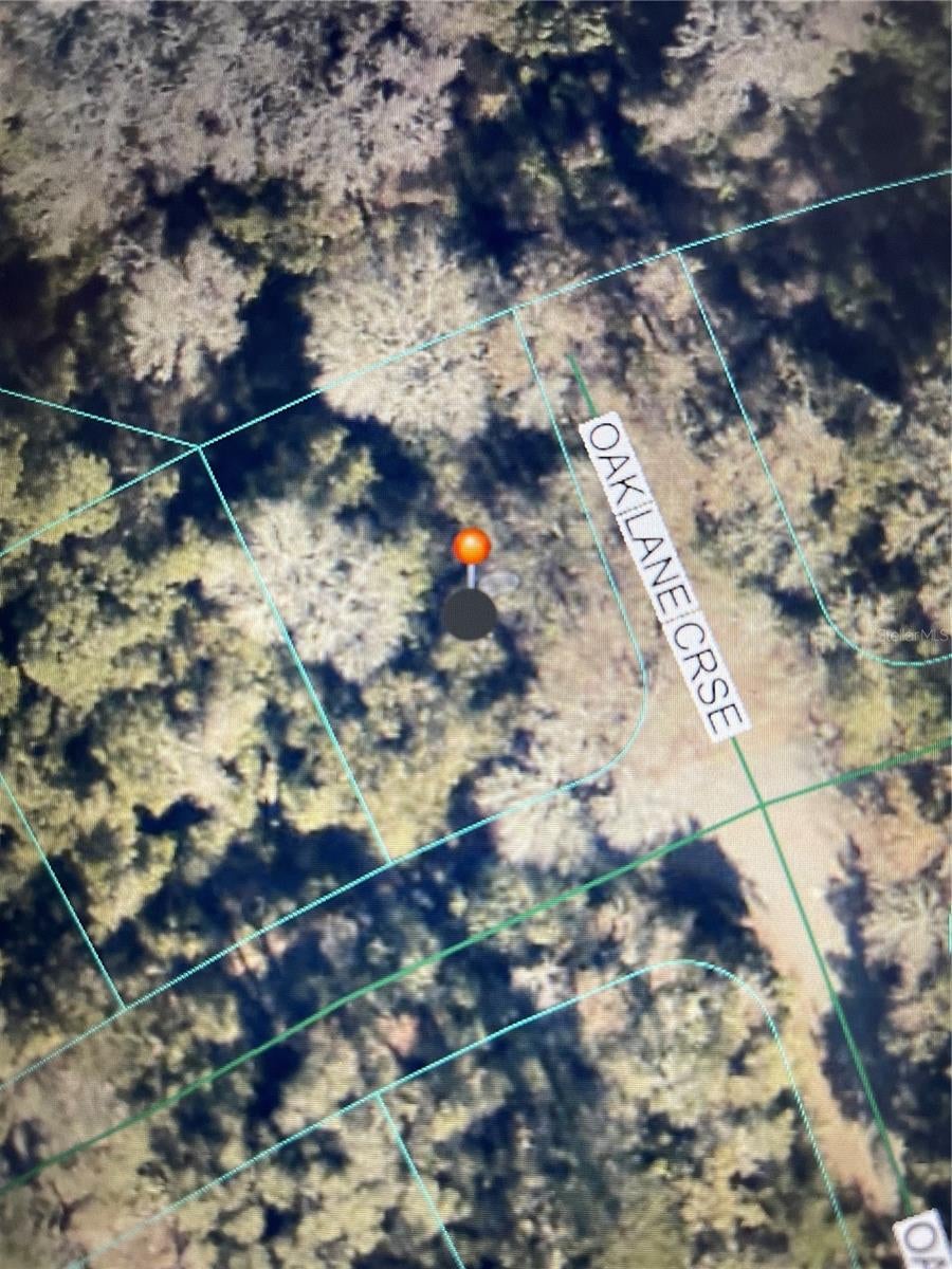 Great corner lot located in Silver Spring Shores. If you are looking to build or for an investment property, this area is perfect. Established neighborhood. Close to Ocala, Belleview and The Villages. No HOA and no rear neighbors. Lot has no utilities and needs to be cleared.