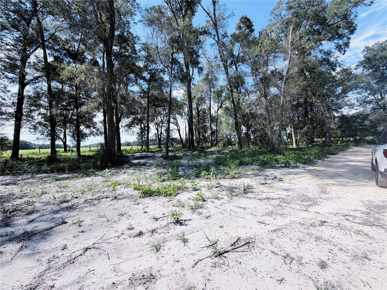 FLORIDA HIGHLANDS 1 - Land