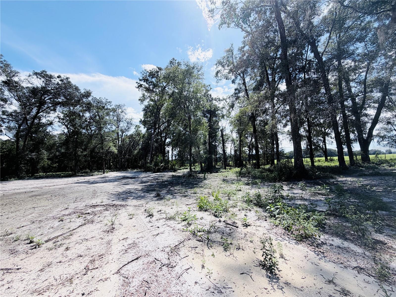 FLORIDA HIGHLANDS 1 - Land