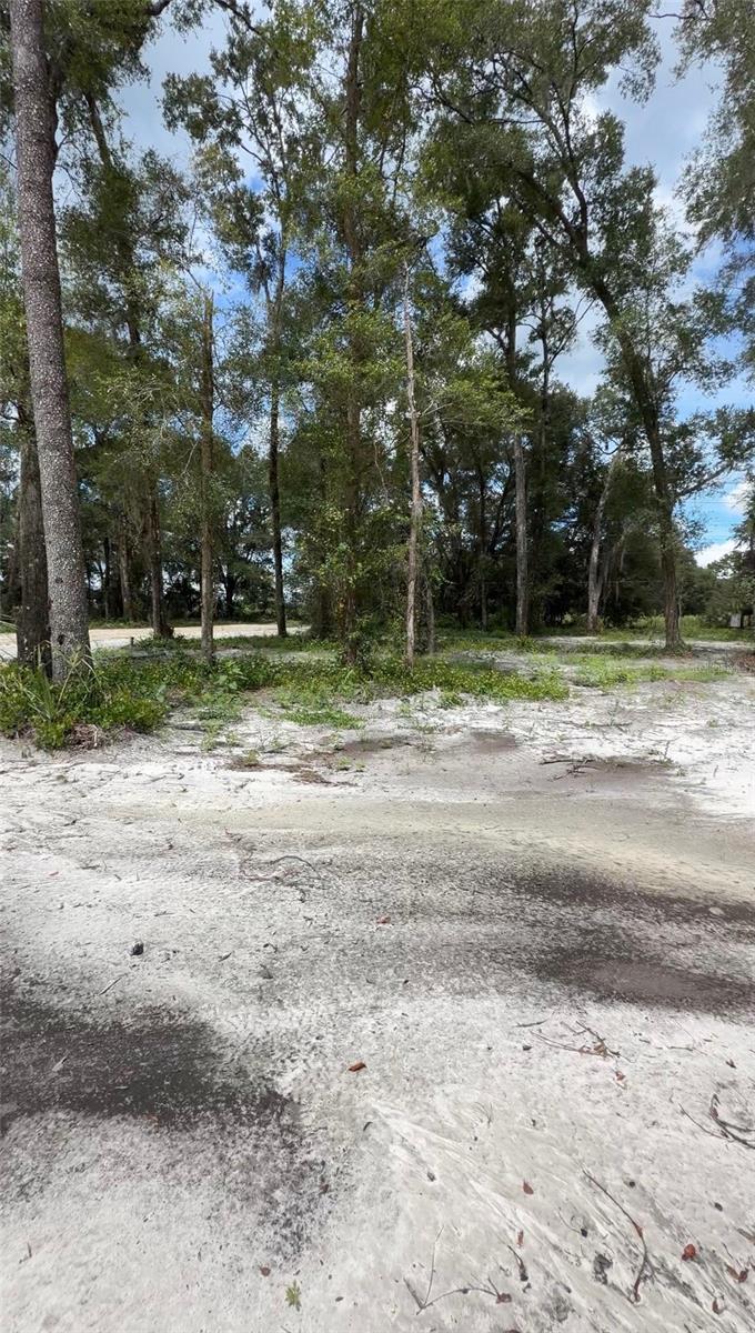 FLORIDA HIGHLANDS 1 - Land