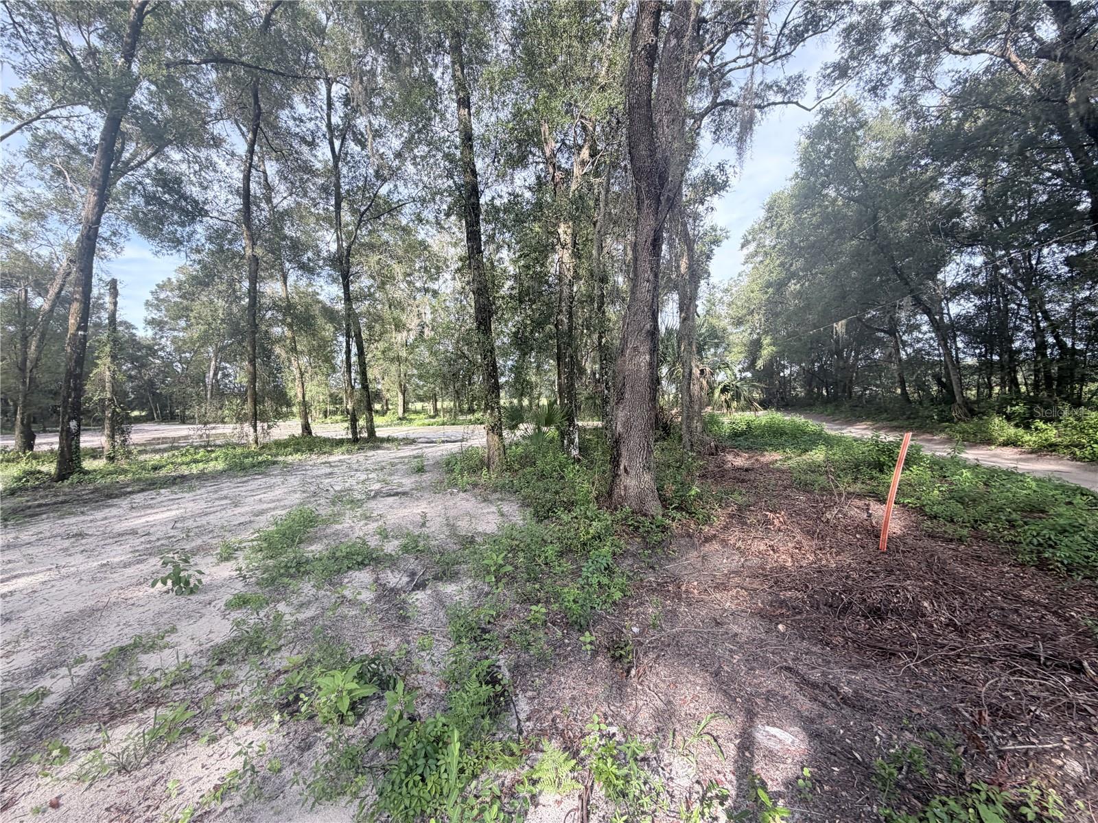 FLORIDA HIGHLANDS 1 - Land