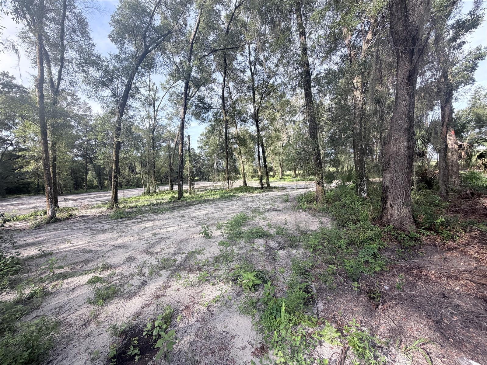 FLORIDA HIGHLANDS 1 - Land