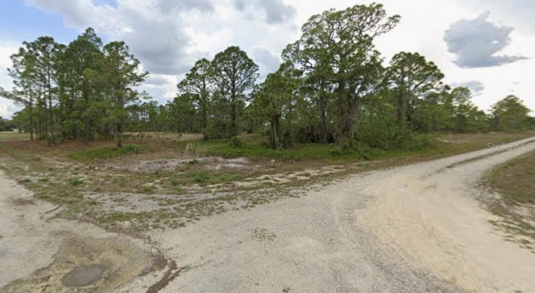 Build your dream home in the rapidly growing and highly sought-after area of Lake Placid. This property is NOT in an HOA, which allows you to build your home as you wish without architectural restrictions. Lake Placid, known for its stunning landscapes and quaint charm, offers a welcoming and distinctive community vibe.