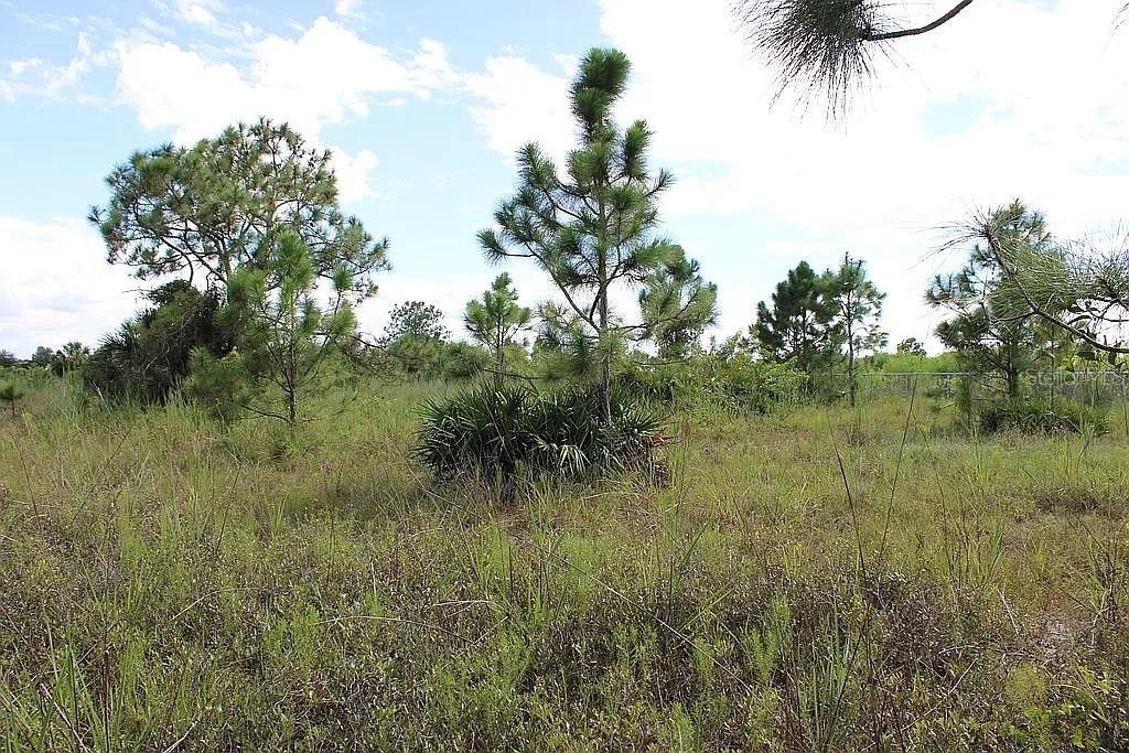 2.81 ACRES OF VACANT HIGH-AND-DRY LAND IN NAPLES, FLORIDA. THIS PARCEL OFFERS SPACE AND FLEXIBILITY FOR FUTURE DEVELOPMENT OR INVESTMENT. ELECTRICITY, WATER, CABLE, PHONE, DEP & SURVEY REPORTS AVAILABLE. CULVERT INSTALLED. NO WETLANDS MITIGATION.  CLOSE TO SCHOOLS, BEACHES, SHOPPING & RESTAURANTS.