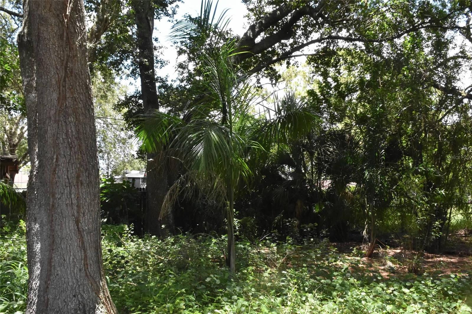 PALM ESTATE - Residential