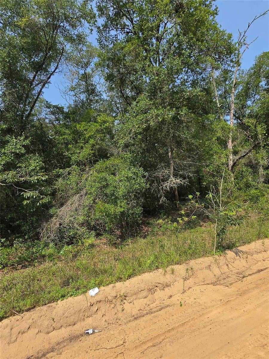 INTERLACHEN LAKES ESTATES - Land