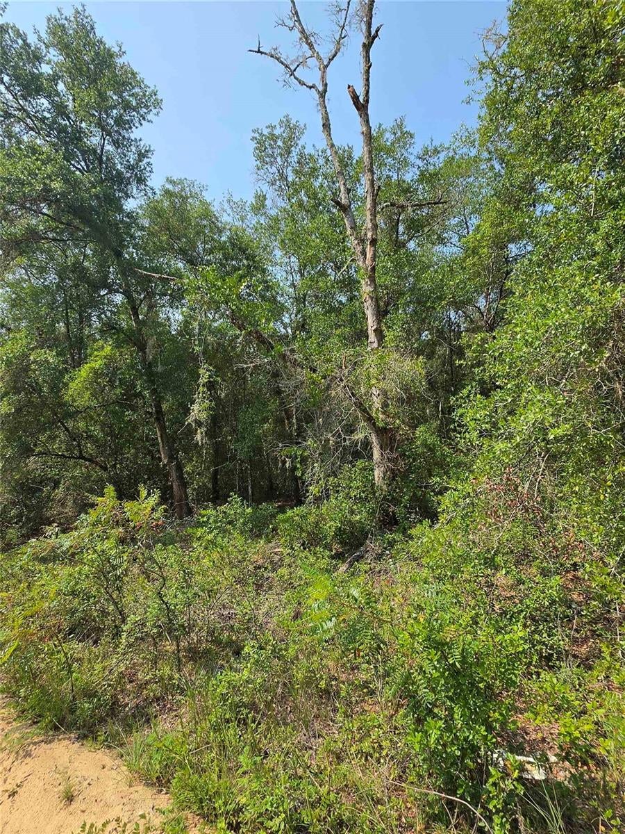 INTERLACHEN LAKES ESTATES - Land