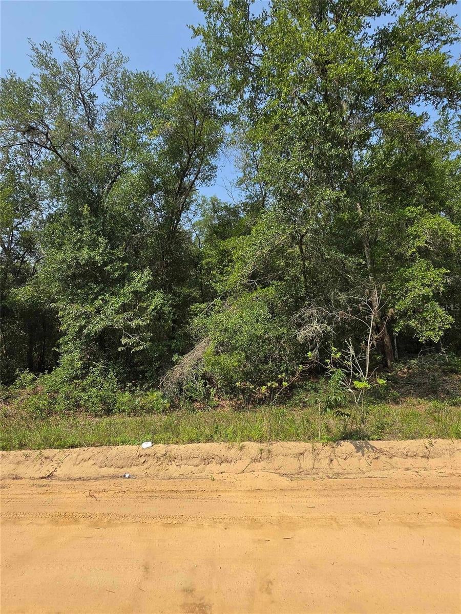 INTERLACHEN LAKES ESTATES - Land