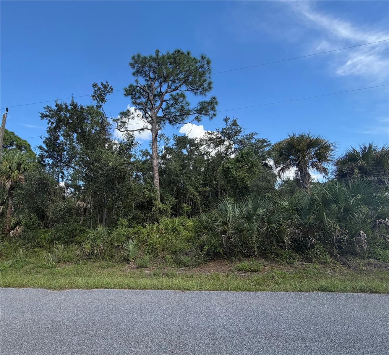 Discover the potential of owning a double lot totaling nearly half an acre in the growing community of Port Charlotte! Whether you dream of building your ideal home or securing land for your investment portfolio, this property offers many possibilities. Enjoy a convenient location near shopping, dining, parks, everyday amenities, and the beautiful Gulf Coast beaches. Opportunities like this are worth exploring—bring your vision and make it a reality!