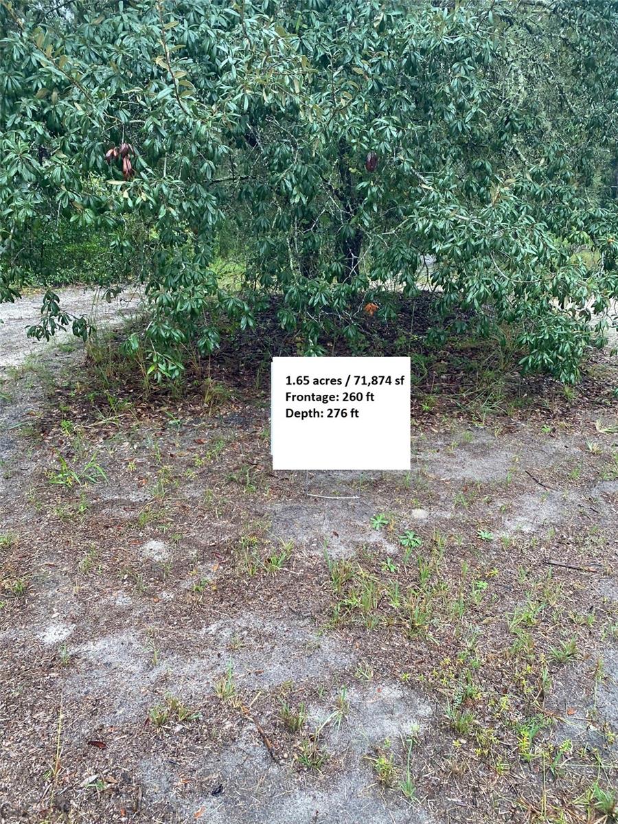 MARION OAKS SOUTH - Land
