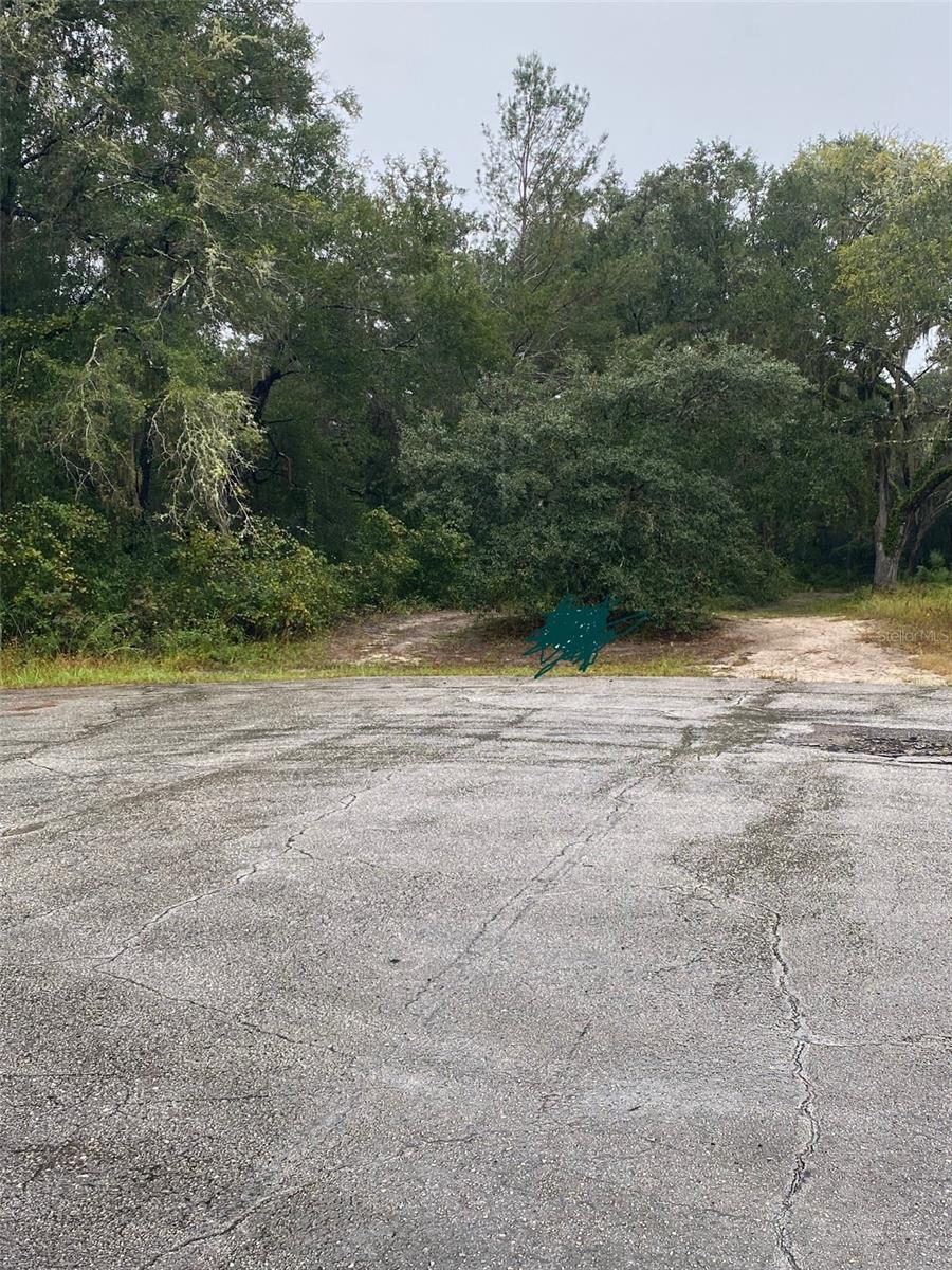 MARION OAKS SOUTH - Land