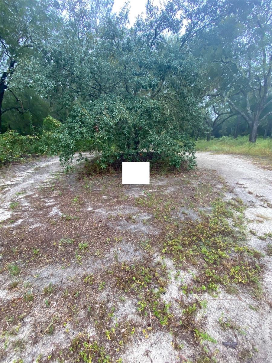 MARION OAKS SOUTH - Land