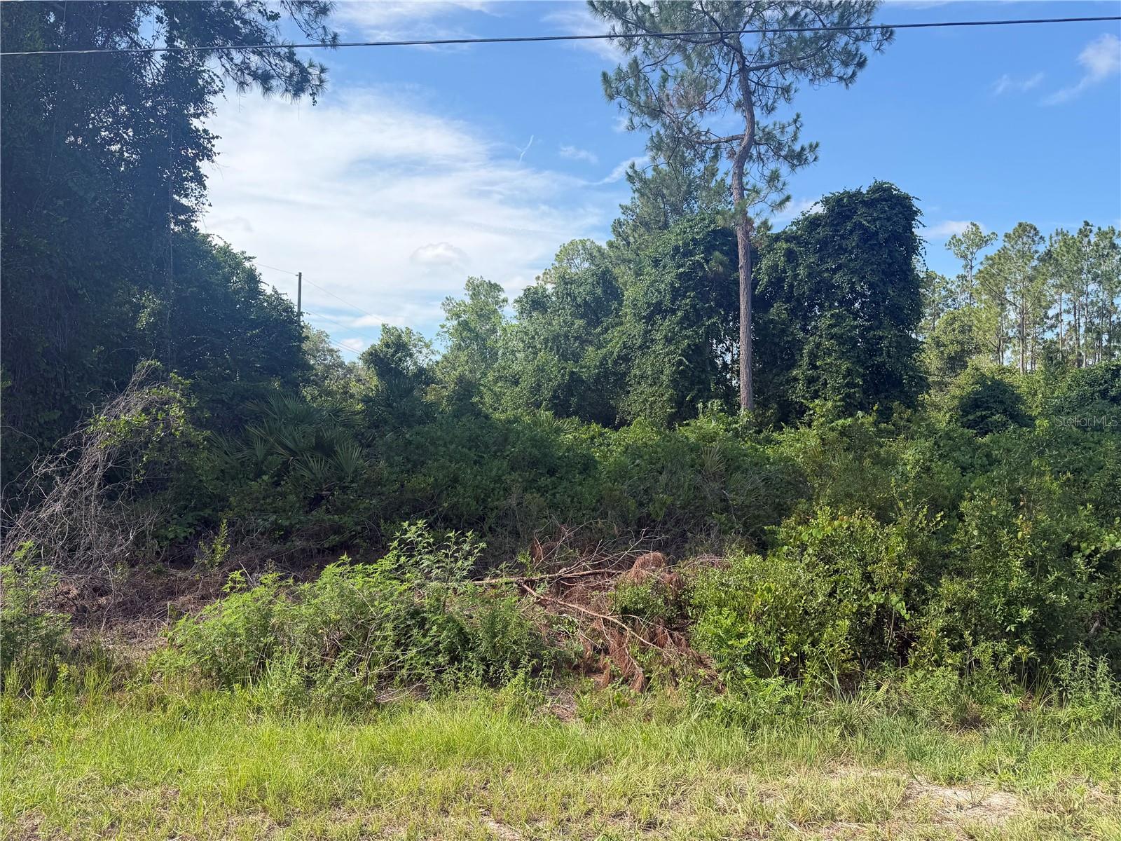 Oversized corner building lot in the tranquil Ocklawaha area. Close to The Villages and Ocala for an easy commute.
