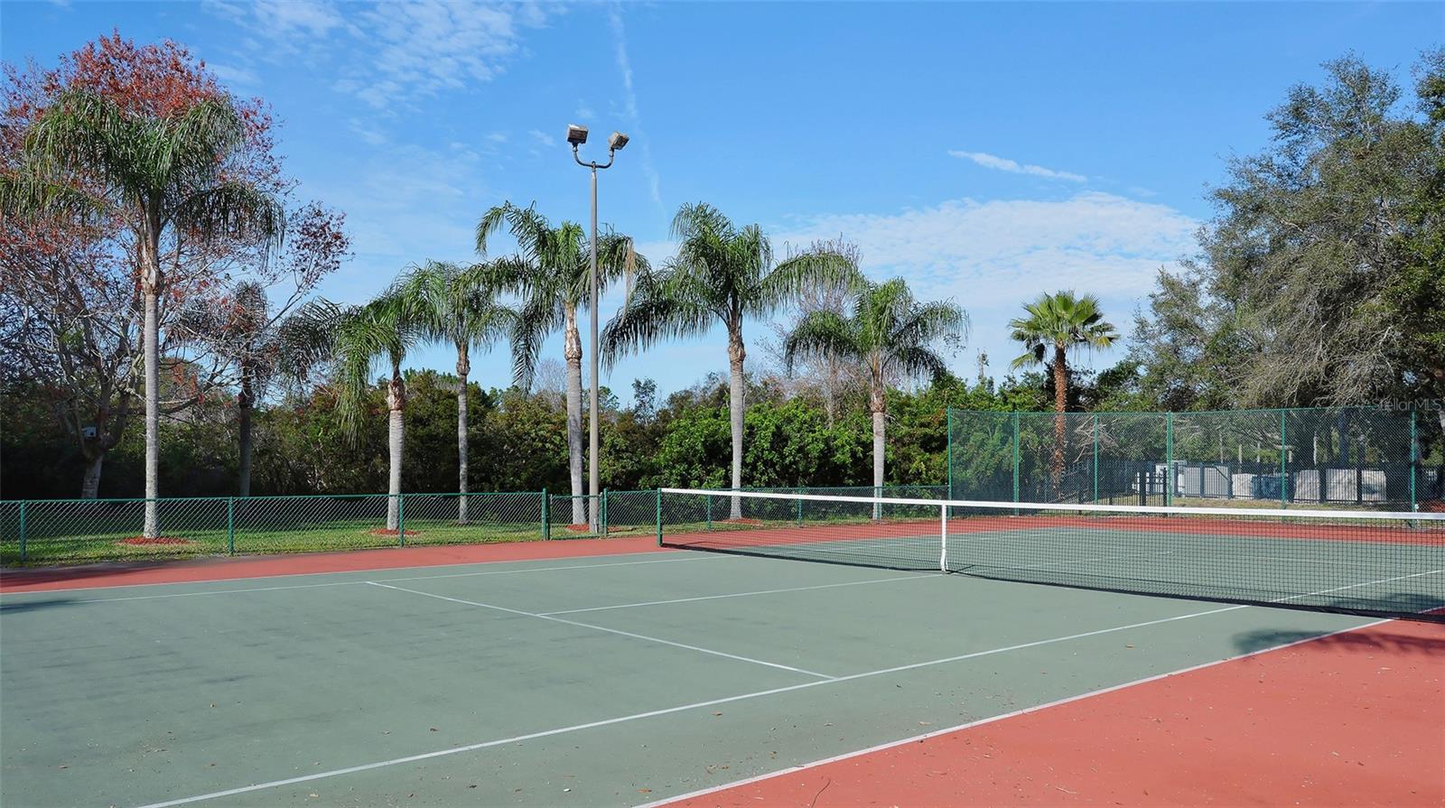 SERENADE ON PALMER RANCH - Residential