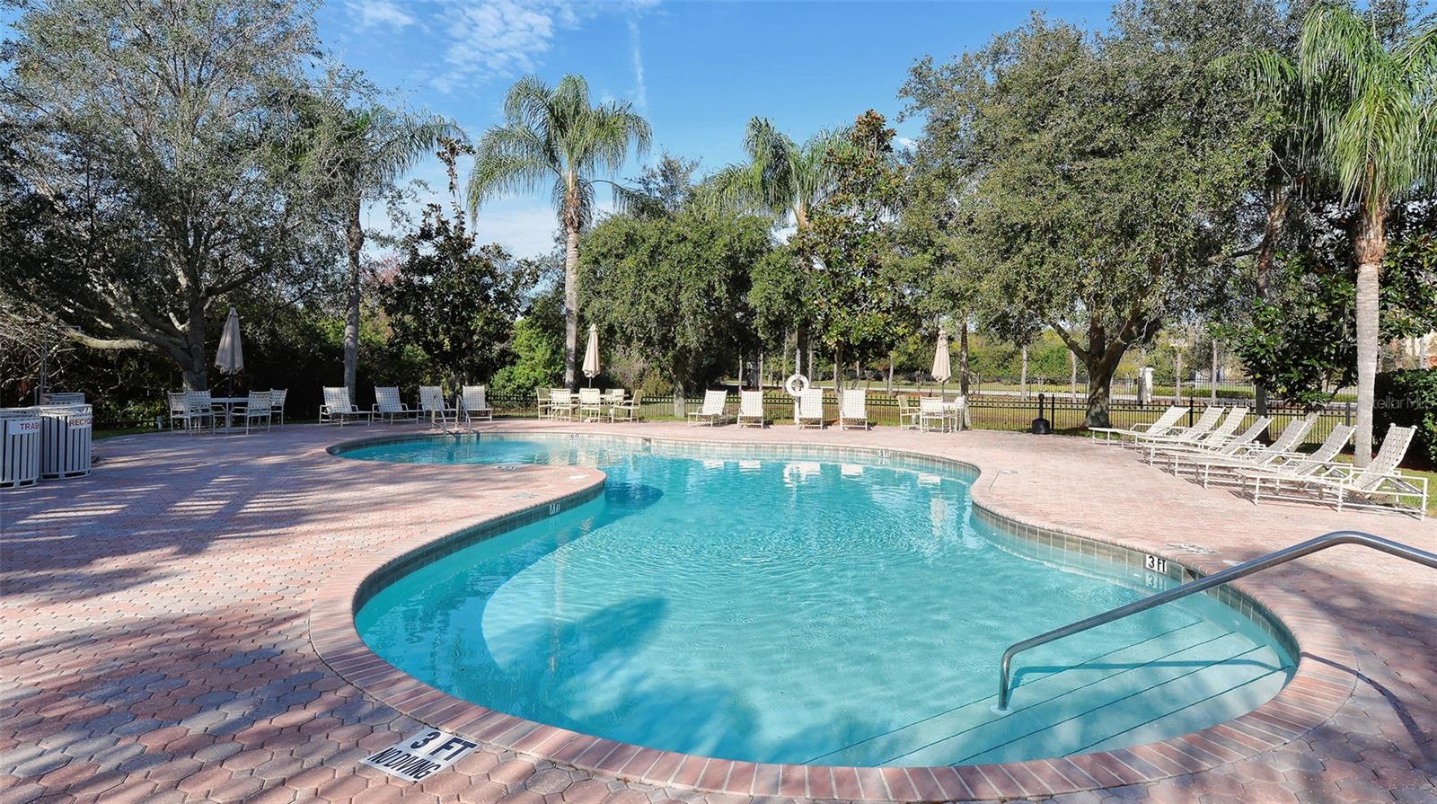 SERENADE ON PALMER RANCH - Residential