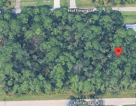 Build your dream home in the desirable Buckingham area of Fort Myers! This approximately 0.23-acre residential lot offers 80 feet of road frontage on a paved street and is located in Flood Zone X. Enjoy a peaceful setting with a country feel while remaining conveniently located near I-75, shopping, dining, schools, and everyday amenities. Whether you're looking to build your future home or expand your investment portfolio, this property offers a great opportunity to own land in Southwest Florida. Bring your builder and turn your vision into reality! Buyer to verify all property details with the appropriate authorities.