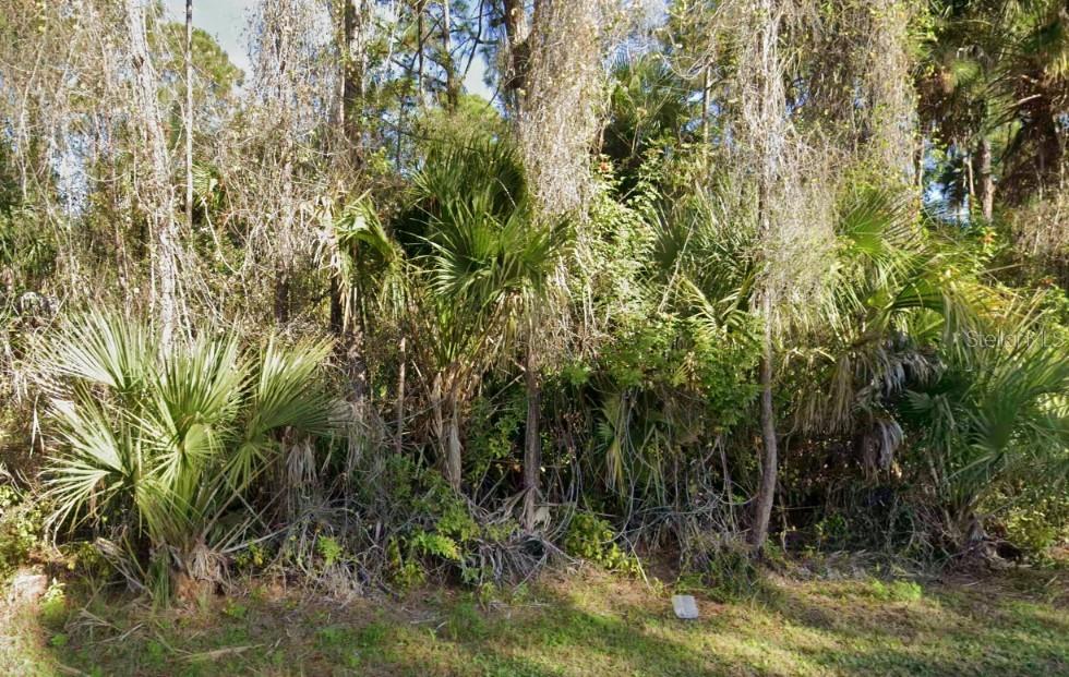 LEHIGH ACRES - Land