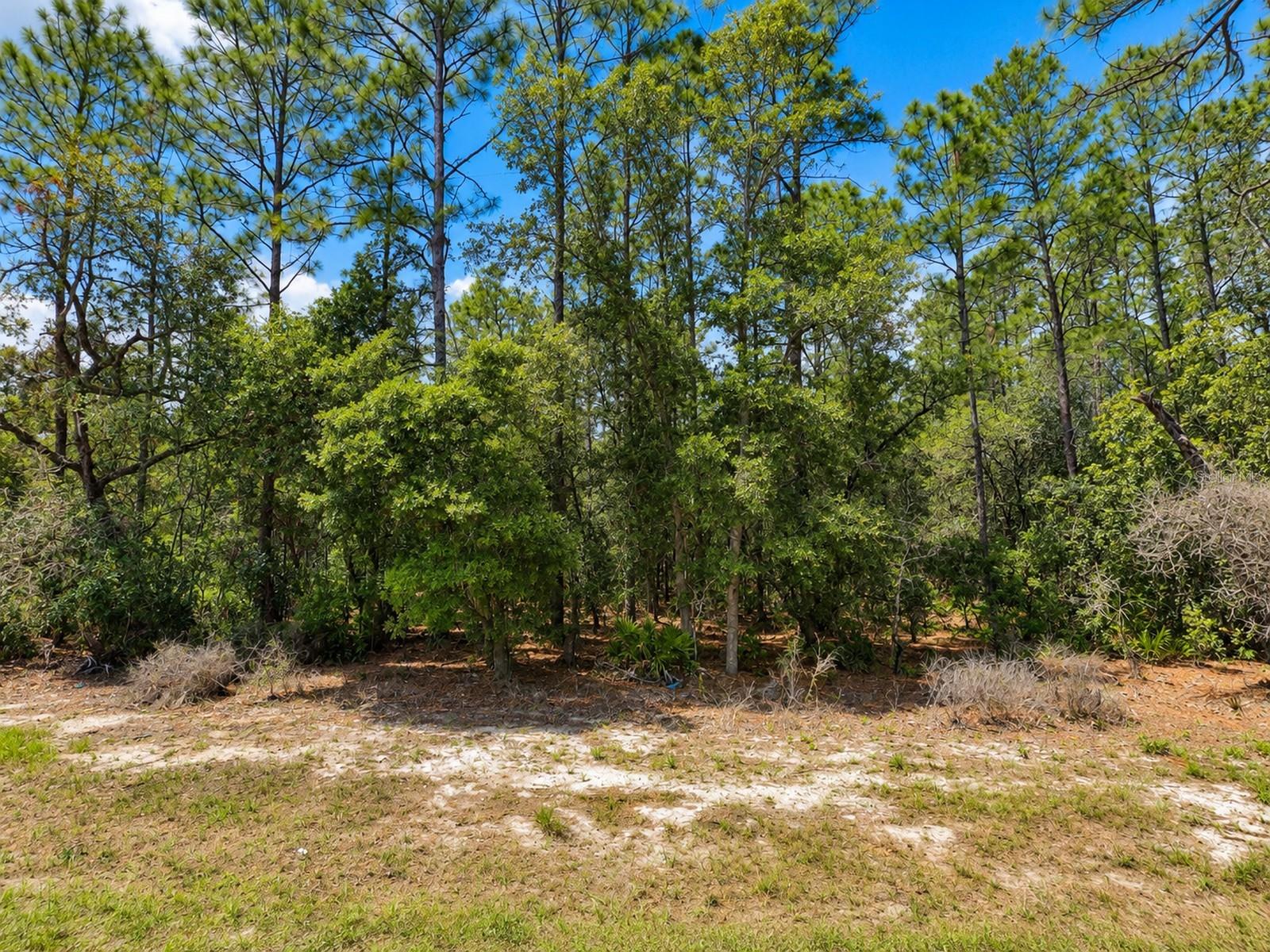 MARION OAKS - Land