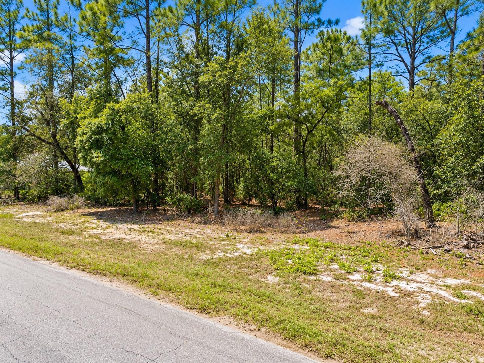 MARION OAKS - Land