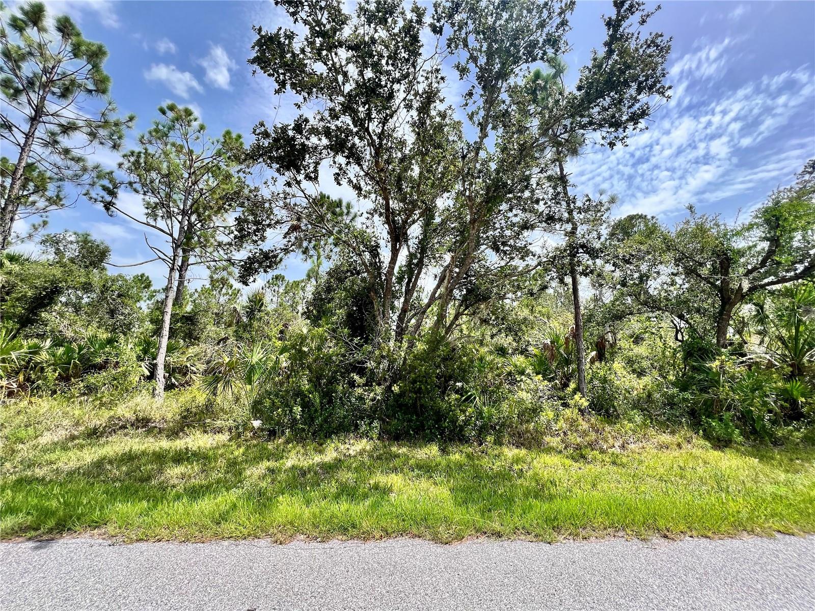 Nice southern rear exposure lot in a quiet area with new developing homes. Port Charlotte a quiet area, this land boasts panoramic views and is in a convenient location close to local amenities. With ample space to design and build, this lot is perfect for those looking to create their own personal paradise. Wonderful opportunity to build your 'Old Florida' style home. Fishing, boating, kayaking, golfing throughout the year. Don't miss the chance to turn this land into your HOME!!