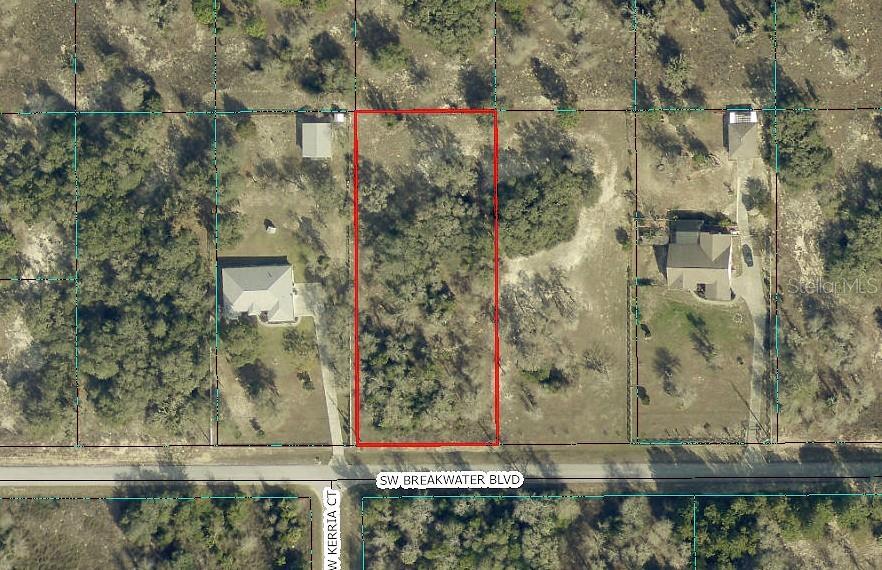Picture a morning on the Rainbow River and an evening fishing at a neighborhood lake, all in one of the most picturesque corners of North Central Florida. This lovely 1-acre homesite in Rainbow Lakes Estates puts both within easy reach. The land is high and dry, the roads are paved, and electric service is nearby since there are neighbors next door. With no HOA, low annual taxes, and no time limit to build, you can plan your dream home on your own schedule. This beautiful community allows site-built homes only and offers a community center, library, park, and three peaceful lakes. Rainbow Springs State Park, Goethe State Forest, scenic bike paths, and hiking trails are all nearby. Charming Dunnellon has shopping, dining, and outdoor festivals. Ocala, the World Equestrian Center, Crystal River, and the Gulf are a short drive away, Gainesville is about 45 minutes, and Orlando and Tampa are about two hours. Come walk the property and start picturing your new home here. Call today to schedule your visit!