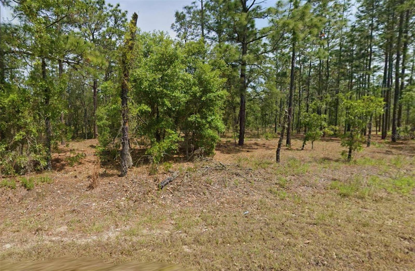 Looking for room to spread out and create a place of your own? This 1-acre vacant lot in Rainbow Lakes Estates, Dunnellon, FL offers the space and opportunity you’ve been looking for. Zoned R-1, this property provides a great canvas for those looking to build a future home in a peaceful, nature-filled setting.

Enjoy the appeal of having plenty of land around you while still being within reach of Dunnellon’s shopping, dining, outdoor recreation, and charming small-town atmosphere. Whether you’re ready to build now or looking for land to hold for the future, this property is worth a look.
