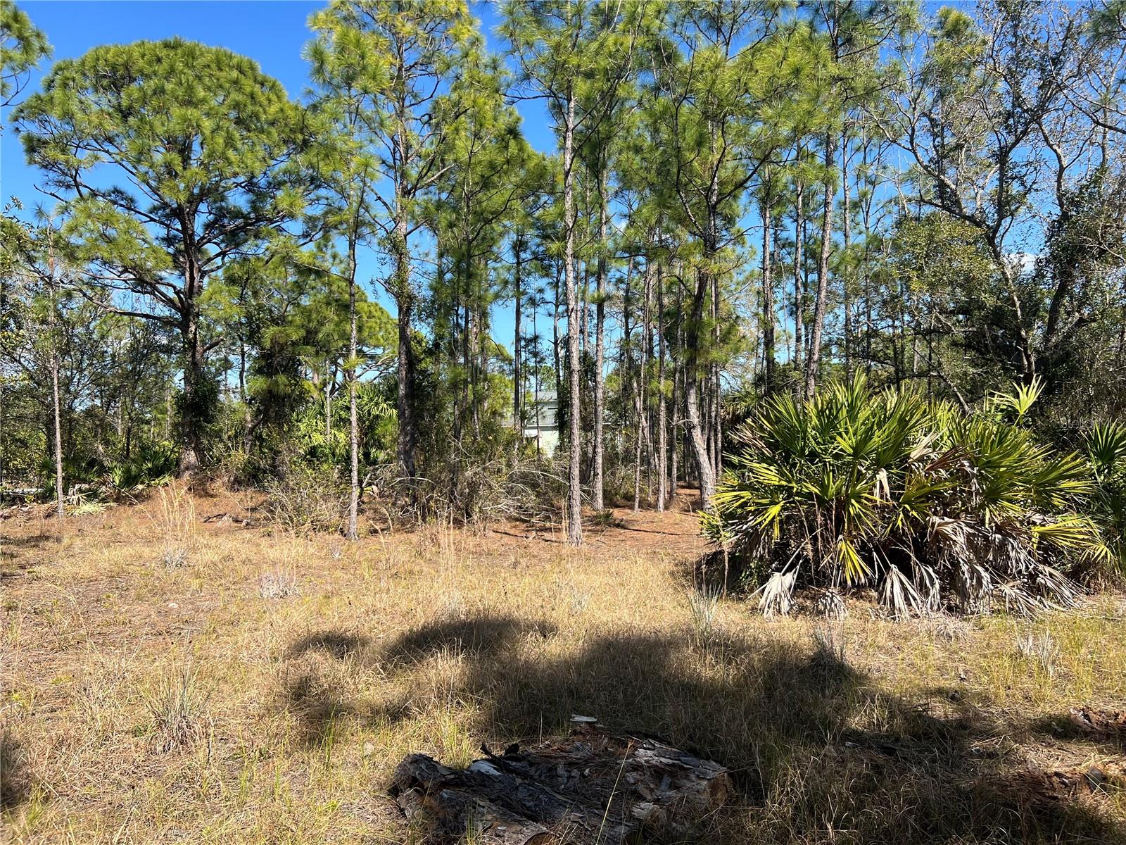 Excellent opportunity to own a corner lot in Tropical Gulf Acres, Punta Gorda. Its wide frontage and access from two streets provide added flexibility for property layout and future use, distinguishing it from typical interior lots.

Located in a residential area of Southwest Florida with convenient access to US-41 and I-75, providing connectivity to Punta Gorda, Fort Myers, Cape Coral, and surrounding areas. Shopping, dining, grocery stores, golf, and everyday services are available throughout the surrounding area.

The location provides convenient access to many of the area’s attractions, including Downtown Punta Gorda, Punta Gorda Airport, Burnt Store Marina, Charlotte Harbor, and Fishermen’s Village, along with boating, fishing, and outdoor recreation.

A great option for those looking to own land in Southwest Florida, whether considering a future residential project or adding land to a real estate portfolio. Buyer and buyer’s agent are responsible for independently verifying zoning, dimensions, utility availability, building requirements, restrictions, and any other information relevant to the intended use of the property.