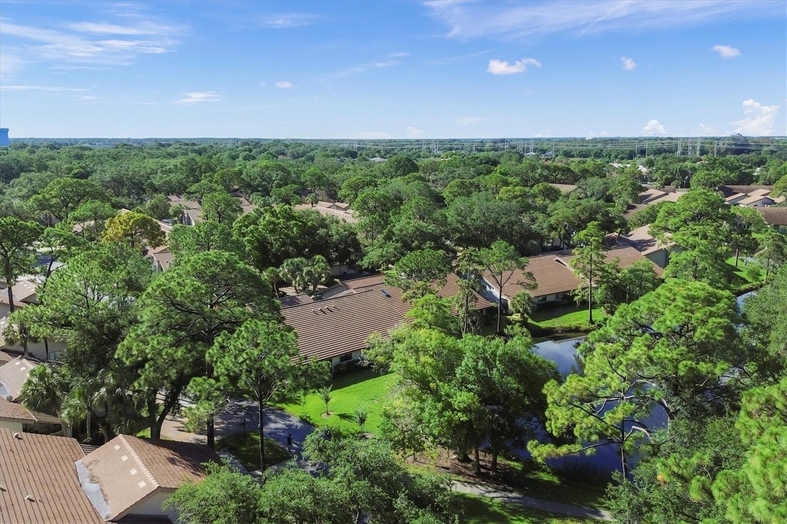 THE MEADOWS - Residential