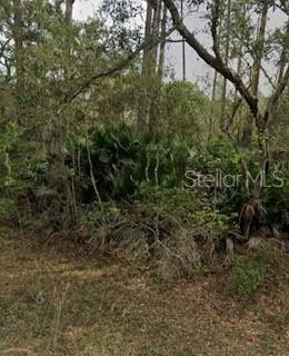 INTERLACHEN LAKES ESTATES - Land