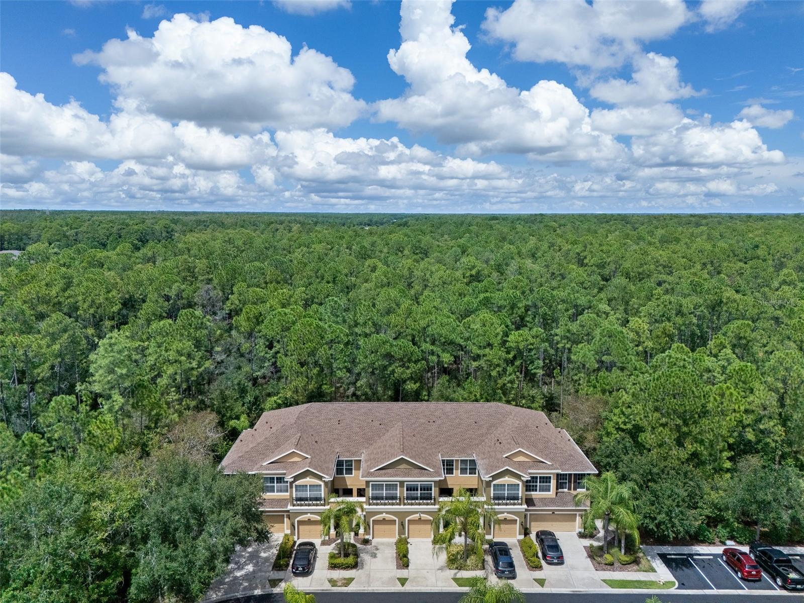 Welcome to this beautifully upgraded 3-bedroom, 2.5-bath luxury townhome nestled in the desirable GATED South Hampton community in the Westchase area! Offering 1,863 square feet of living space, this exceptional two-story home is ideally situated on a premium conservation lot, just steps from the community pool, providing peaceful wooded views and added privacy. From the moment you enter, you'll appreciate the abundance of natural light, spacious open floor plan, and impressive custom finishes throughout. The beautifully remodeled kitchen (2022) features 42-inch wood cabinetry, quartz countertops, a stunning herringbone marble backsplash, stainless steel appliances, a composite granite sink, and generous pantry space. One of the many highlights of this home is NO CARPET, with upgraded luxury vinyl flooring throughout the second floor and a gorgeous redesigned staircase featuring engineered hardwood, wrought-iron railings, and a solid oak landing. Additional upgrades include elegant crown molding, custom window casings, beautiful light fixtures, and thoughtful finishes throughout. Upstairs, retreat to the spacious primary suite featuring a large walk-in closet, dual vanities, granite countertops, a garden tub, and a separate walk-in shower. Step outside onto your private screened balcony overlooking the tranquil conservation area, the perfect place to enjoy your morning coffee or unwind at the end of the day. Two additional bedrooms, a guest bathroom with dual sinks, and a conveniently located upstairs laundry area complete the second floor. Enjoy Florida living from your screened lanai and extended paver patio with added privacy fencing, all surrounded by beautiful natural scenery. Additional highlights include a NEW ROOF (2026), HVAC system (2020), and interior paint (2023). South Hampton offers a wonderful maintenance-free lifestyle with HOA services that include exterior maintenance, roof replacement, pest control, water, sewer, and trash service. Residents also enjoy a large community pool, two playgrounds, and sidewalks throughout the gated neighborhood. Ideally located in the desirable Westchase area and currently zoned for Mary Bryant Elementary, Farnell Middle School, and Sickles High School. Conveniently located near shopping, restaurants, entertainment, major roadways, Tampa International Airport, and the beautiful Gulf Coast beaches. This beautifully maintained home offers the perfect combination of comfort, quality, privacy, and an exceptional Westchase location!