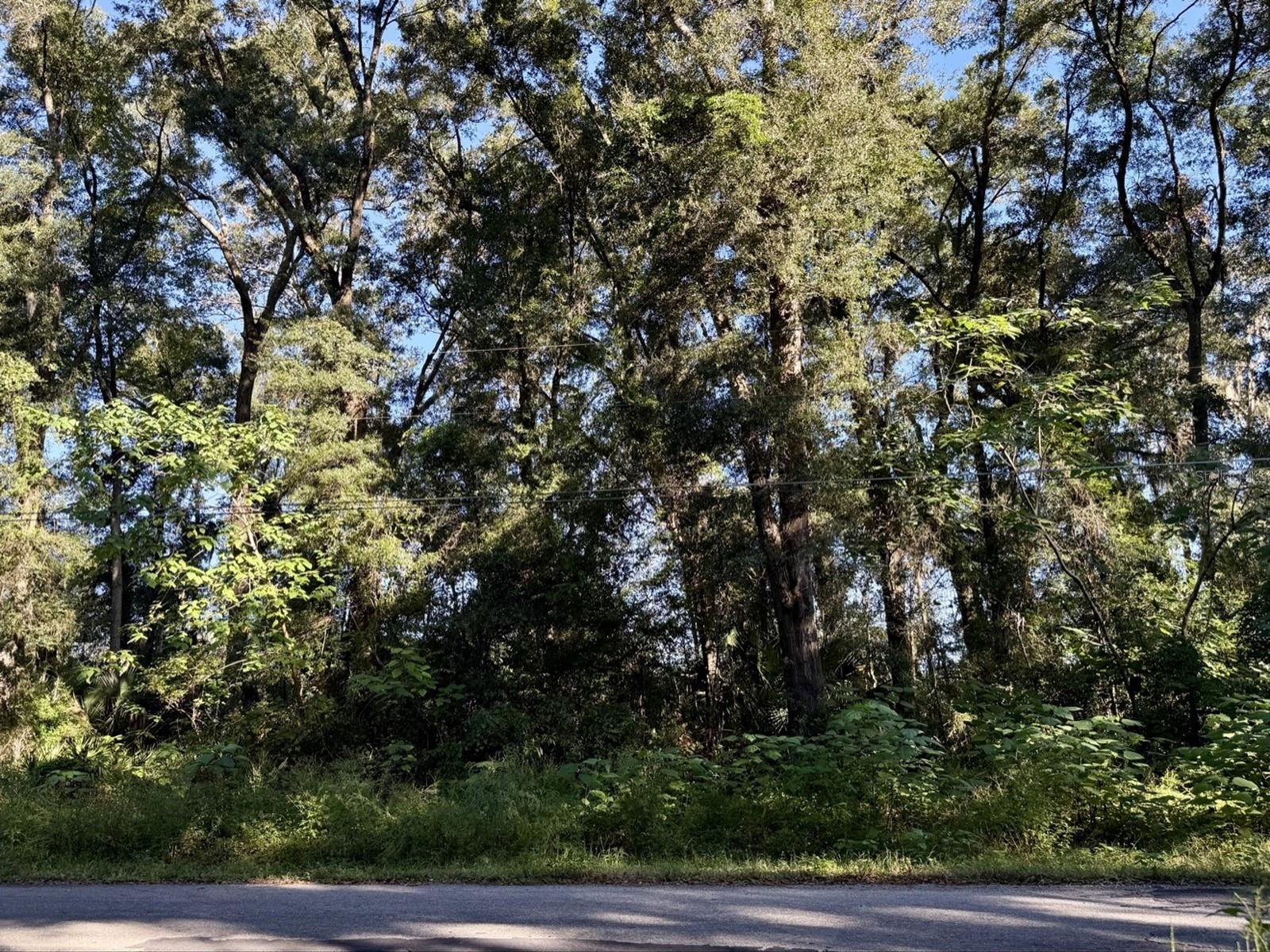 OCALA PARK ESTATE - Land