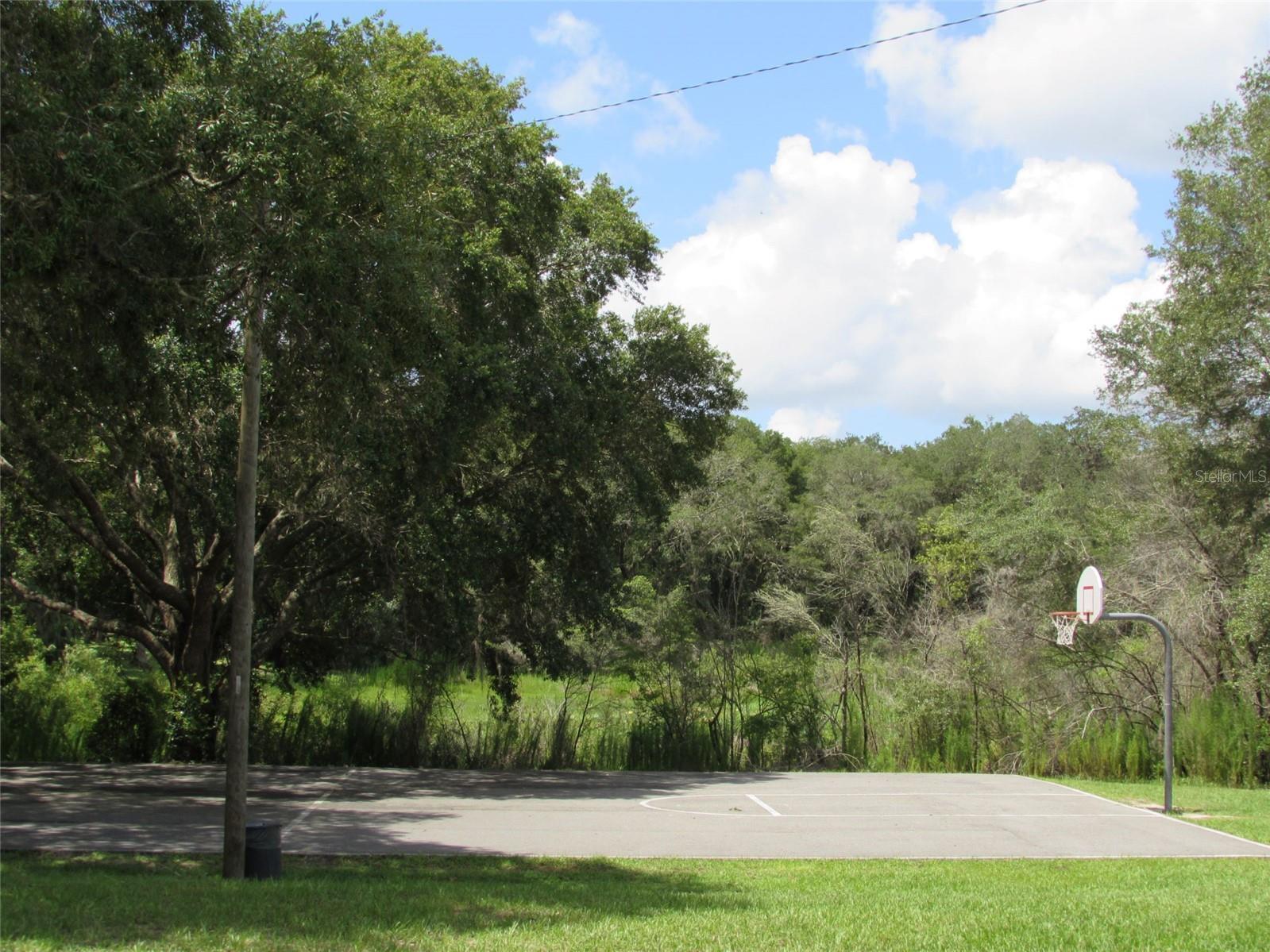 RAINBOW LAKES ESTATE - Land