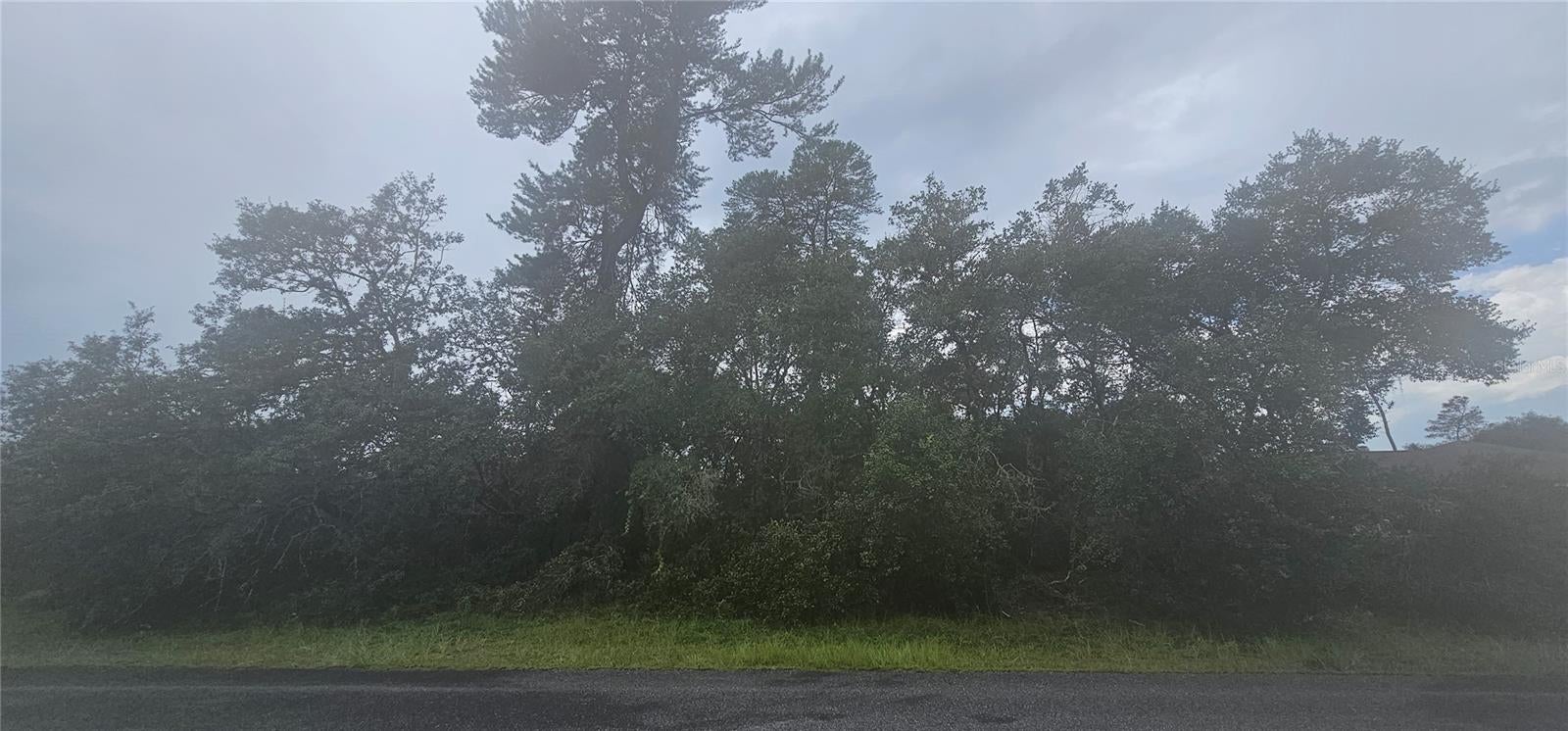 MARION OAKS UN 3 - Land