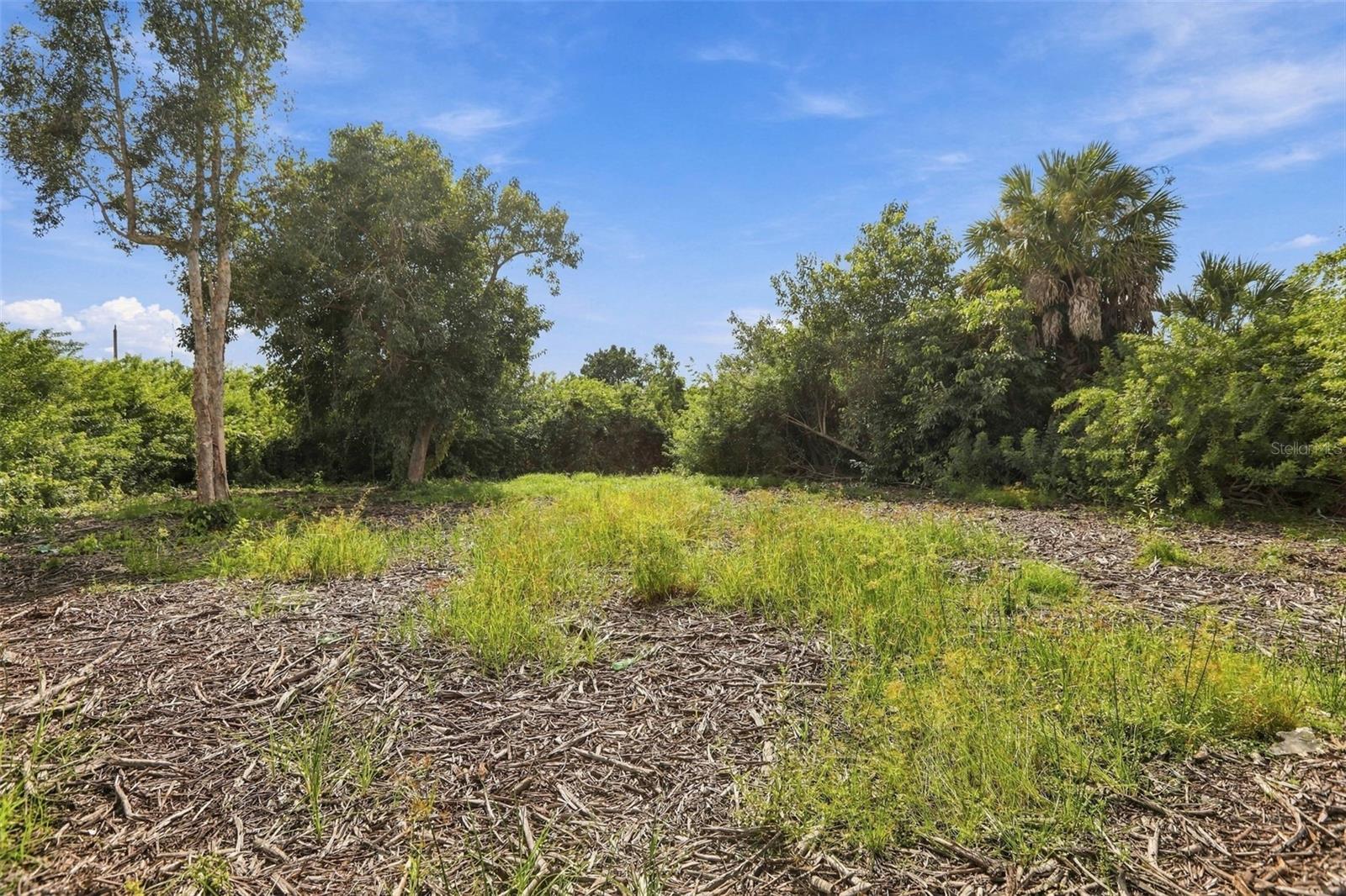 FOREST PARK - Land
