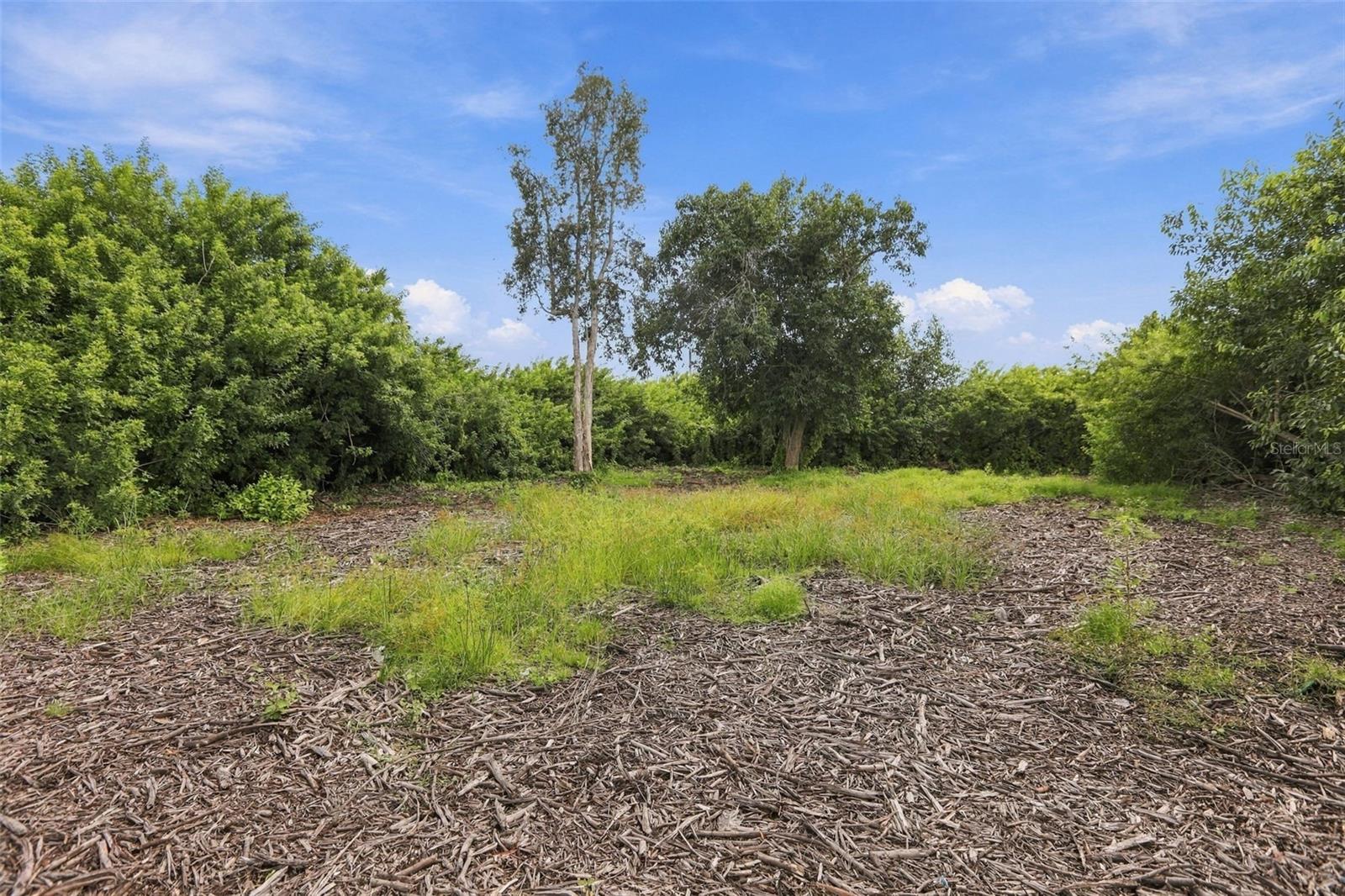 FOREST PARK - Land