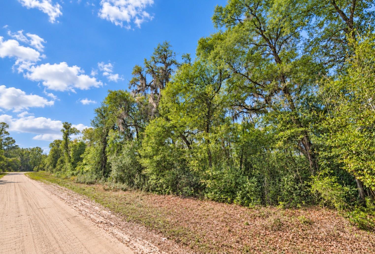 INTERLACHEN LAKES ESTATES - Land