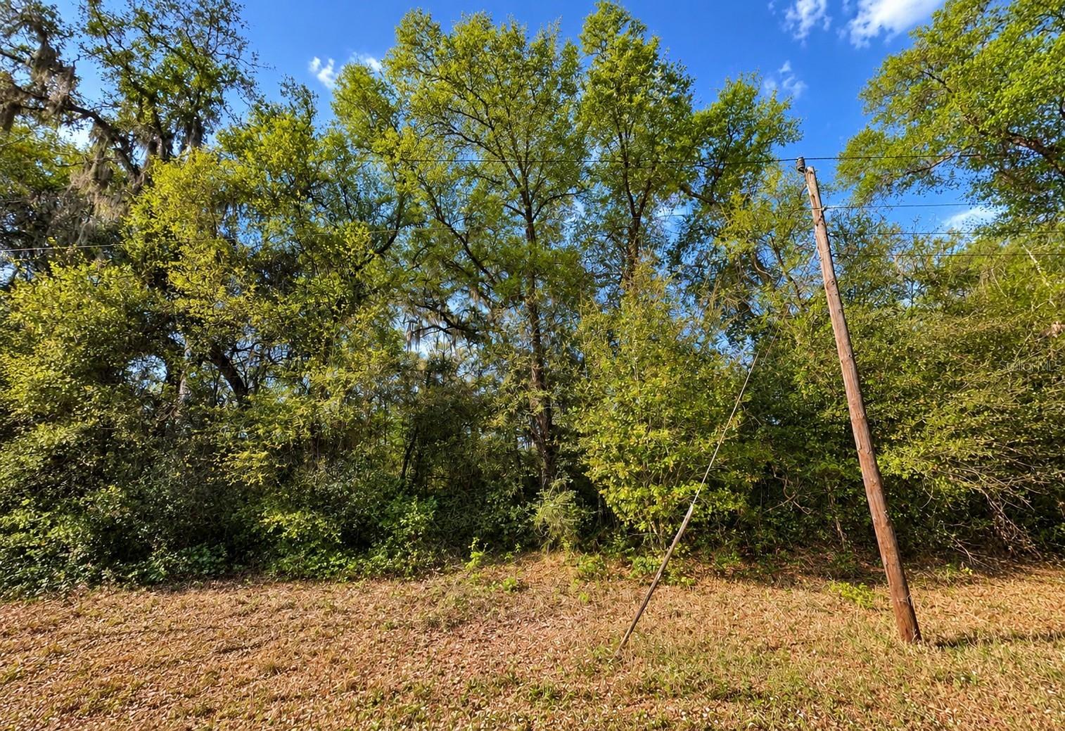 INTERLACHEN LAKES ESTATES - Land
