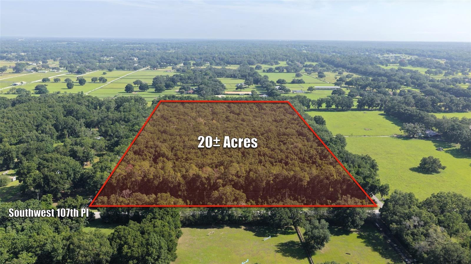 Ocala Pines comprises 20 acres in southern Marion County. It's a mixture of planted pines and native woods, creating an attractive rural setting defined by privacy and natural beauty. The entire parcel appears high and dry and sits outside the floodplain.

The property is zoned A-1 (Agricultural) with a future land use designation of RL (Rural Land). Both the existing zoning and the future land use support a residential density of one dwelling unit per ten acres, consistent with the low-density surrounding area.

The property fronts SW 107th Place in unincorporated Marion County, within Ocala's established equestrian community and surrounded by horse farms and estate lots. 

Ocala Pines sits at the center of the region's equestrian infrastructure: approximately five minutes from the Florida Horse Park, 25 minutes from the World Equestrian Center, and roughly 30 minutes from HITS. Everyday needs — shopping, schools, and medical care — are all within about 15 minutes, and nearby amenities include the Land Bridge Trailhead, the Country Club of Ocala, and the Vortex Trailhead. Proximity to I-75 and US 301 places downtown Ocala about 20 minutes away, with Gainesville (approximately 50
minutes), Orlando (about one hour), and Tampa (about an hour and a half) all within a comfortable drive.